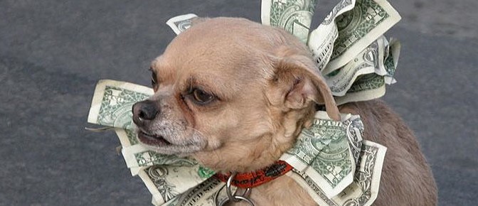 dog medical bills tax deduction