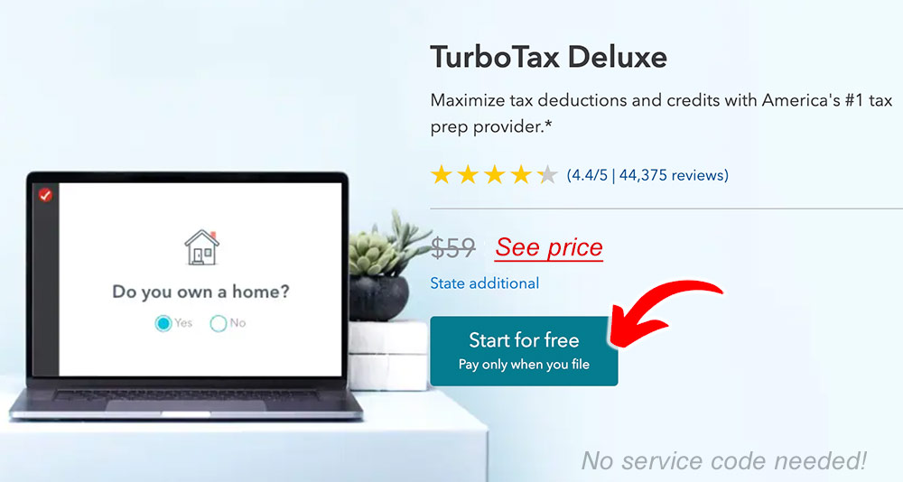 turbotax deluxe service code